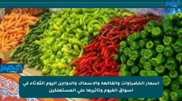 أسعار الخضراوات والفاكهة والأسماك والدواجن اليوم الثلاثاء في أسواق الفيوم وتأثيرها على المستهلكين